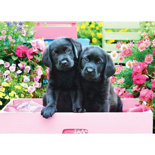 Puzzle Pièces Xxl - Labradors Noirs Dans Une Boîte Rose - Puzzle 500 Pièces