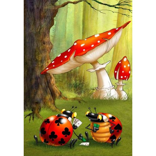 François Ruyer: Poker Des Coccinelles - Puzzle 12 Pièces