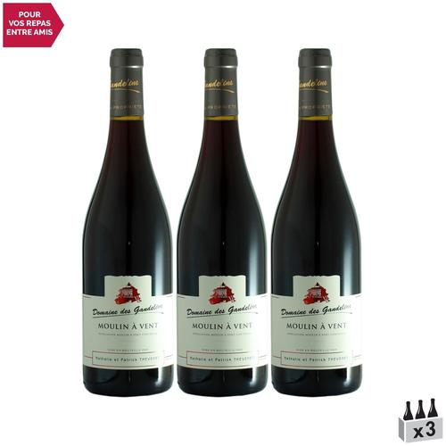 Domaine Des Gandelins Moulin-À-Vent Rouge 2019 X3