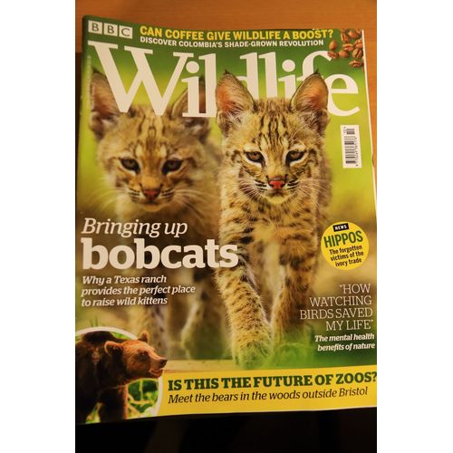 14 Numéros De La Revue Bbc Wildlife  En Anglais
