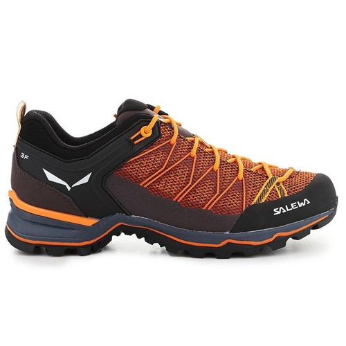 Baskets Basses Salewa Mtn Trainer Lite