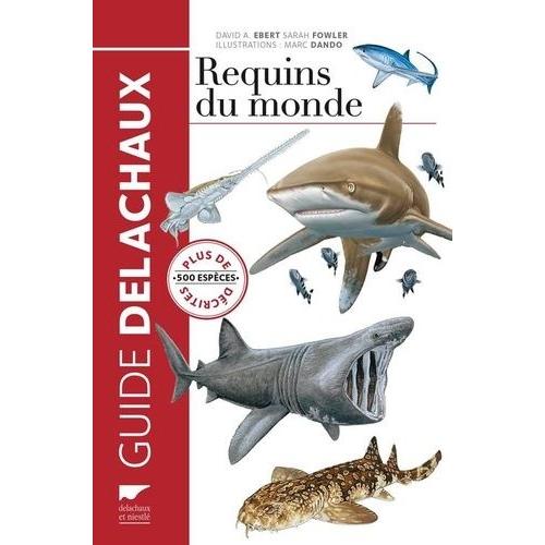 Requins Du Monde