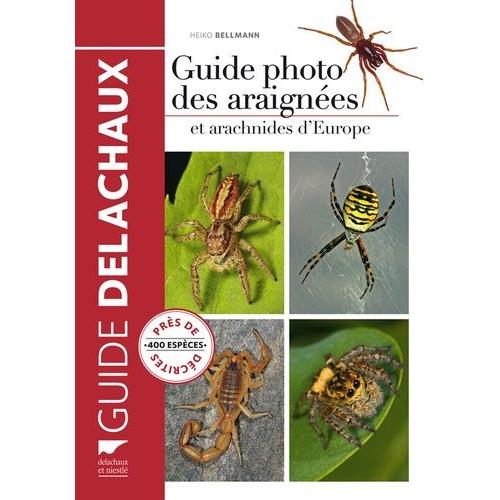 Guide Photo Des Araignées Et Autres Arachnides D'europe