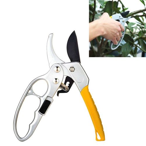 Ciseaux de taille pour arbres fruitiers de jardin, coupe bonsaï, greffage, coupe branches, outils à main de jardin