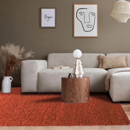 Tapis Poils Longs Shaggy 120x170 Rectangle Tissé Terra Motif Uni Uni L