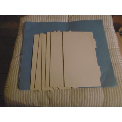 Paquet De 6 Intercalaires Separation Pour Boite A Fiches 148x210mm L. Le Dauphin M 54301