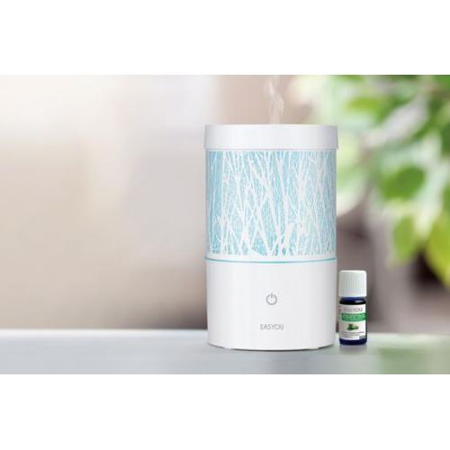 Diffuseur Huiles Essentielles Brumisateur 