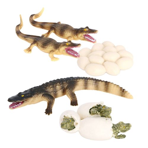 Jouet Éducatif Naturel De Simulation D'insecte D'animal Pour Apprendre À Faire Semblant De Jouer, Cadeaux