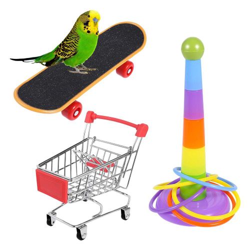 Ensemble De Jouets Éducatifs Pour Bébés, Puzzle, Jeu De Planche À Roulettes, Activité Interactive, Entraînement Au Perroquet, Jouets De Bureau