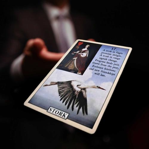 Cartes De Tarot Classiques Pour Blue Bird, Lenormand, Oracle, Jeu De Société, Version Anglaise Complète, Cadeau De Fête