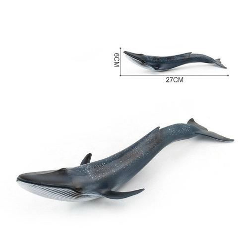 Simulation D'animaux Marins, Baleine Bleue, Requin De Mer, Modèle Figurines D'action, Jouet Éducatif Pour Enfants