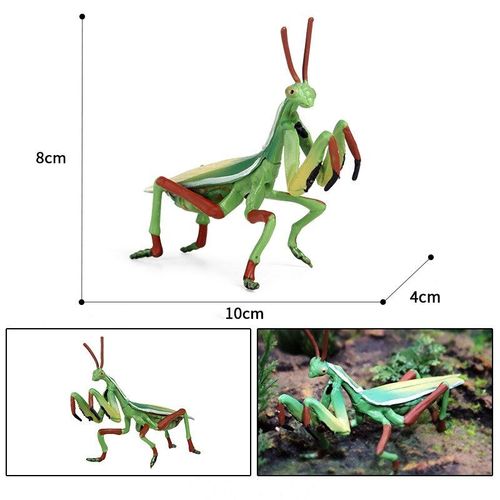 Simulation D'Insecte, Mini Animal, Mante De Prière, Ornement, Jouet Éducatif Cognitif Pour Enfants