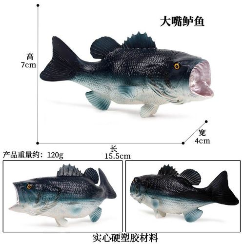 Jouet De Collection En Pvc Pour Enfants, Réaliste, Poisson, Bar, Océan, Animal Marin, Weever, Perche, Modèle D'action