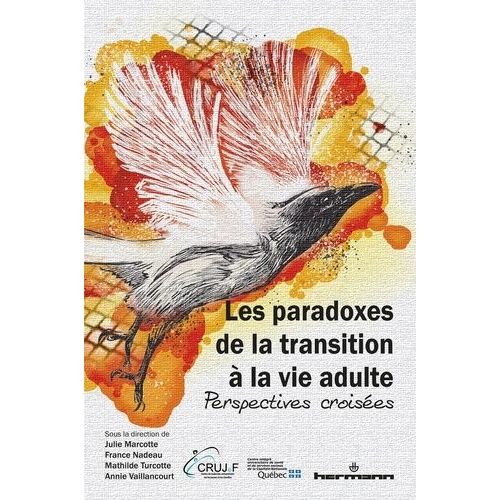 Les Paradoxes De La Transition À La Vie Adulte - Perspectives Croisées
