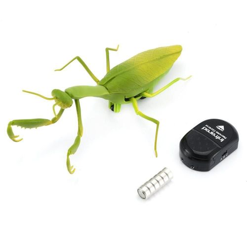 Télécommande Électrique À Infrarouge Pour Enfants, Jouet De Farces En Forme De Mantis Glowver, Mini Mantis Rc Réaliste, Tour Effrayant