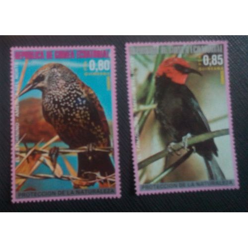 Timbre Guinee Equatorial Yt 97 A/B Oiseaux D'amérique Du Nord 1976 ( 321205 )