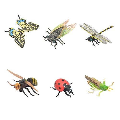 Modèle D'insecte En Plastique, 6 Pièces, Poupée Éducative, Jouet Préféré Des Enfants, Collection D'animaux
