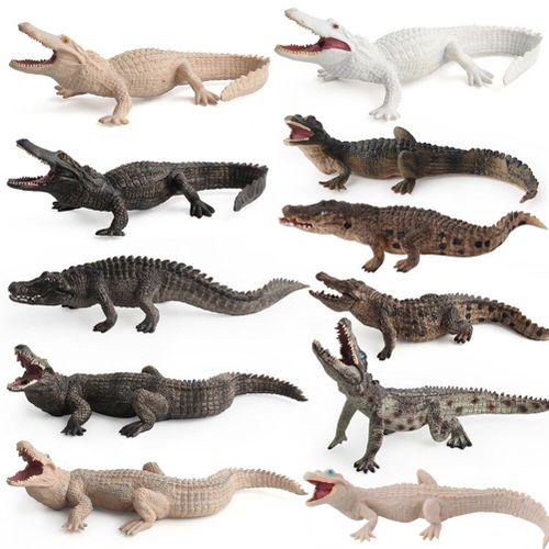 9/11pcs Simulation Solide Sauvages Crocodile Modèle Jouet Poupée Mobile Jouet Pvc Amphibie Ramper Animal Sauvage Enfant Éducatif Toygift