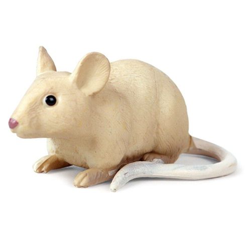 20 Figurines D'Animaux Sauvages Réalistes En Pvc, Jouets Pour Enfants, Lion, Chat, Panda, Vache, Tigre, Ornement Pour La Maison
