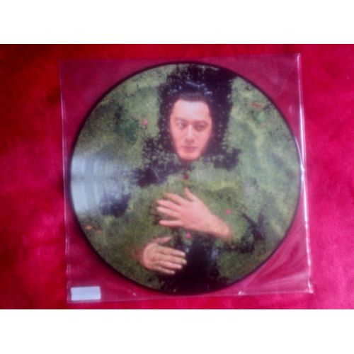 Alain Bashung Fantaisie Militaire Lp Picture Disque Rare