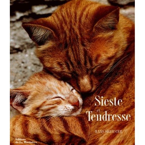 Sieste Et Tendresse