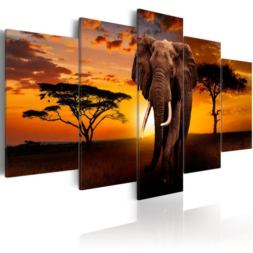 Tableau Tableau africain et ethnique The Savannah King 100 x 50 cm
