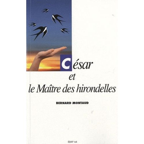 César Et Le Maître Des Hirondelles