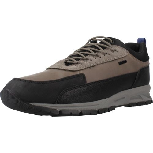 Geox U Doray Colour Gris