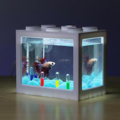 Blocs De Construction Empilables Multicolores Créatifs, Mini Aquarium Écologique Avec Usb Led Light Fish Tank Petit Reptile Boîte Pour Animaux De Compagnie