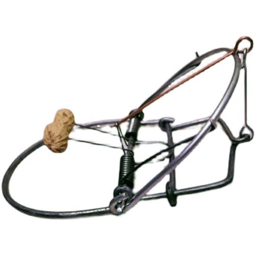 Piège À Souris En Métal Pour Rats, Piège À Ressort, Cage À Rongeurs Instantanée, Contrôle Des Écureuils, Attrape-Belette, Outil Antiparasitaire, Répulsif De Taupe