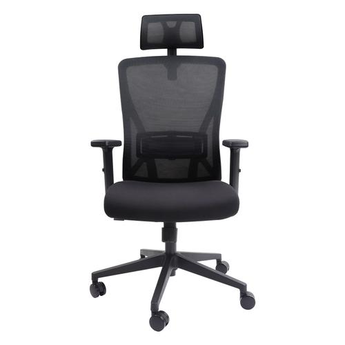 Dripex Chaise de bureau ergonomique, Chaise d'ordinateur pivotante avec  support lombaire réglable,charge maximale de 150 kg,Noir