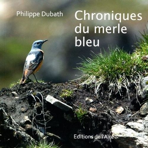 Chroniques Du Merle Bleu