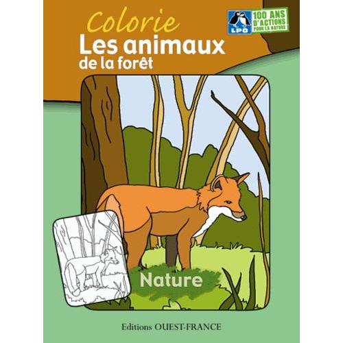 Colorie Les Animaux De La Forêt