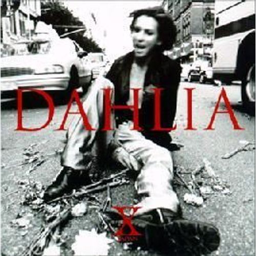 Dahlia (Import Japon)