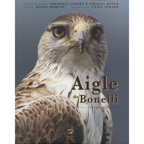 Aigle De Bonelli - Méditerranéen Méconnu