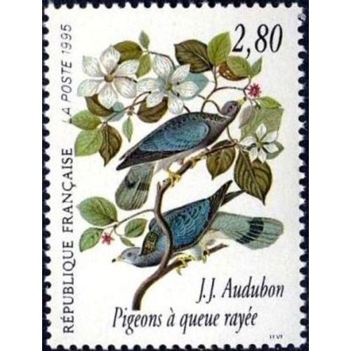 1 Timbre France 1995, Neuf - Les Oiseaux De John J. Audubon - Pigeons À Queue Rayée - Yt 2930