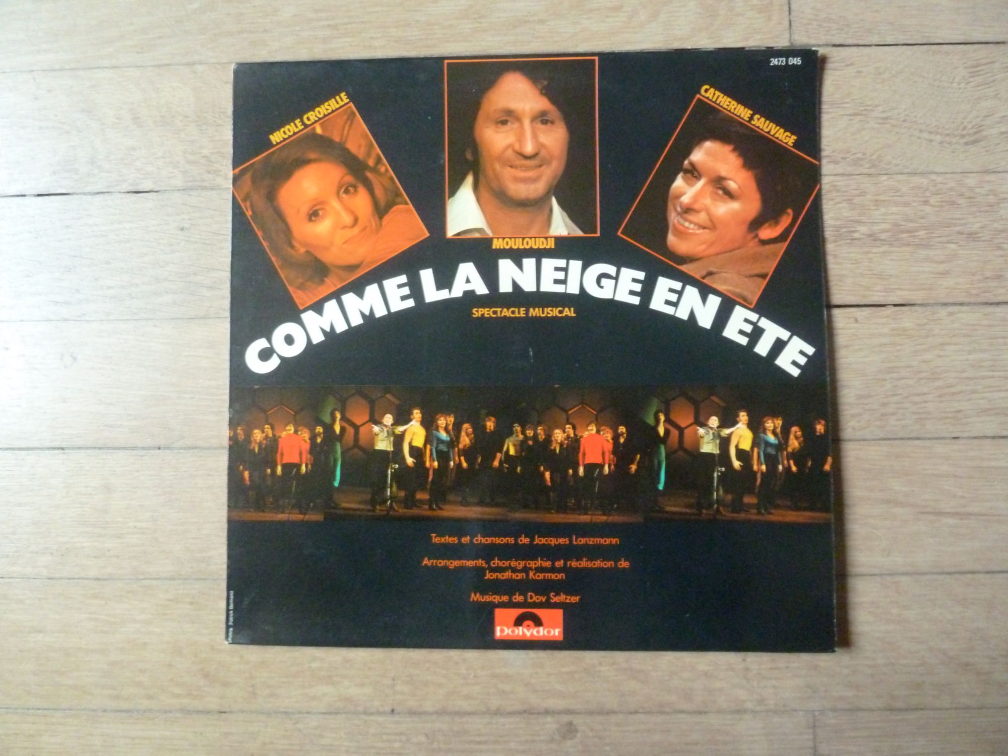 Comme La Neige En Été - Spectacle Musicale