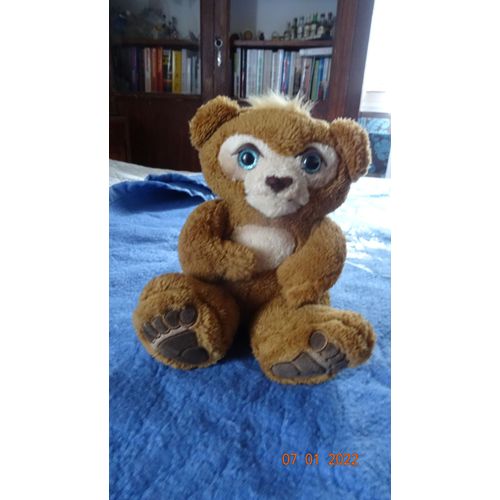 Nounours 