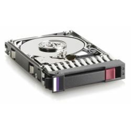 Hewlett Packard Enterprise 300GB 6G SAS 10K rpm 2.5-inch Dual Port Enterprise Hard Disk Drive 2.5 300 Go Disque dur (HPE HDD 300GB 2.5 10K SAS 6G DP)