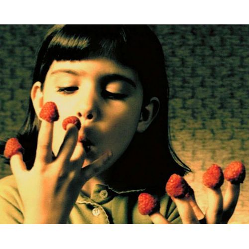 Photo Amelie Poulain 10 20x25cm