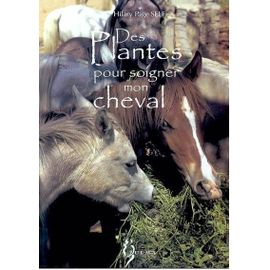 Des Plantes Pour Soigner Mon Cheval