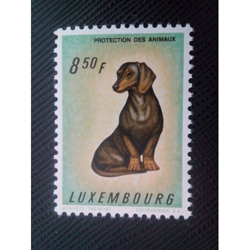 Timbre Luxembourg Yt 598 Teckel (Canis Lupus Familiaris) 1961 ( 040106 )