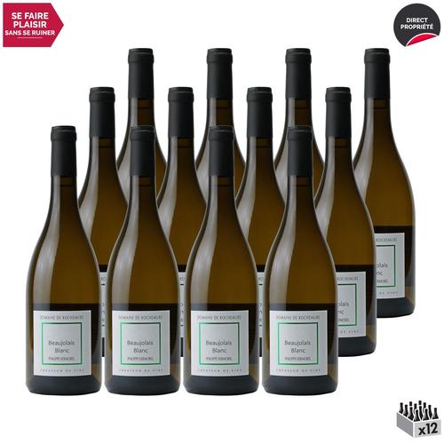 Domaine De Rochemure Beaujolais Blanc 2021 X12