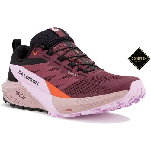 Salomon Sense Ridegorestex W Chaussures De Sport