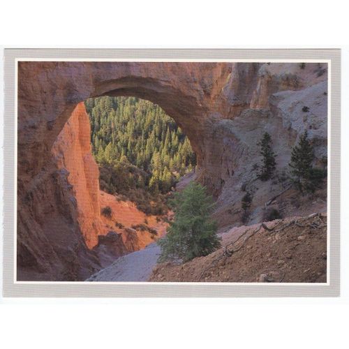 Carte Postale Parc National De Bryce Canyon, Colorado - Natural Bridge