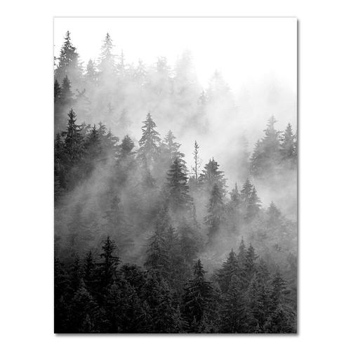 Réflexion d'arbre Poster - Affiche en noir et blanc