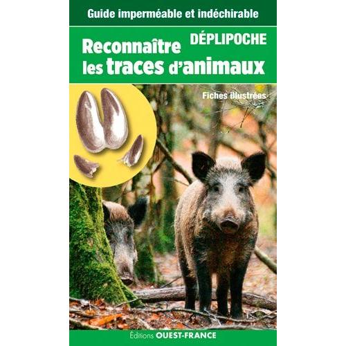 Reconnaître Les Traces D'animaux