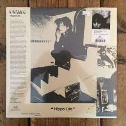 Drinks Hippo Lite (Cate Le Bon/Tim Presley)