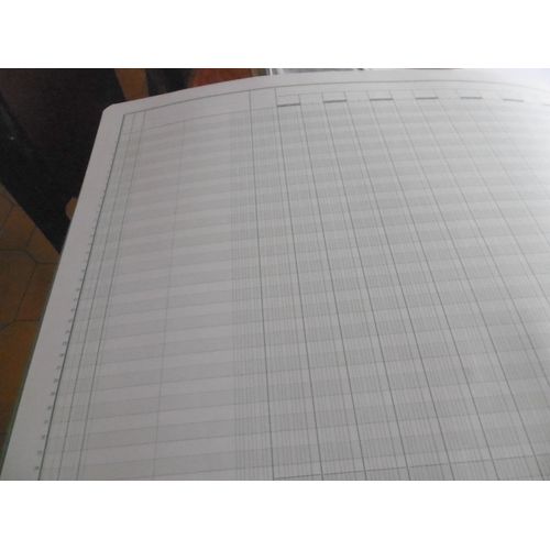 Registre 50 Colonnes Sur 2 Pages 32x55cm Exaompta 8500 
