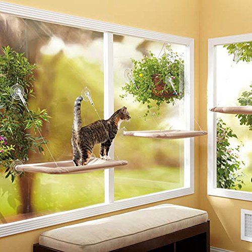 Lavable Hamac Pour Chat Siège Panier Lit Fenêtre Monté Ensoleillé Ventouse Chat Chien Chiot Animal Couches, 55*34cm